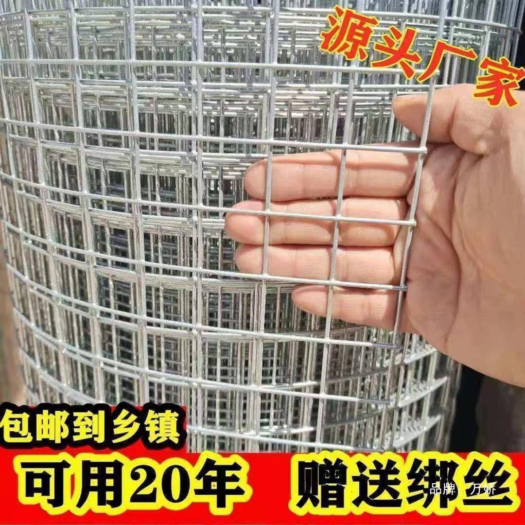 拦网养防殖网热镀锌玉米网铁111护鸡网格建筑网钢丝网网铁丝网围