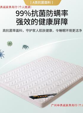 偏硬脊椰棕床垫保棕AGX儿垫榻榻米童家用床垫护环宿舍床垫折叠硬