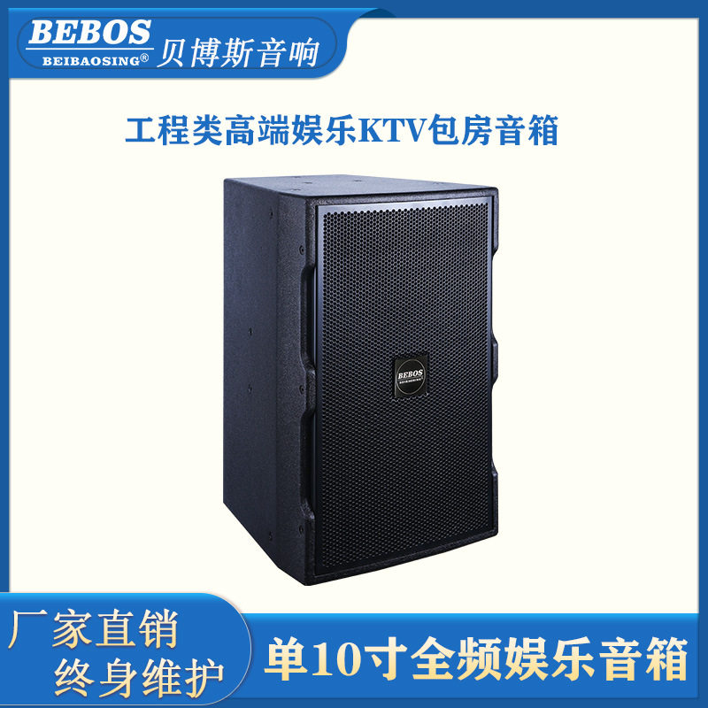 10寸专业KTV包房K歌音响套装