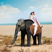 户外大型仿真动植物摆件模型动物园游乐场景观