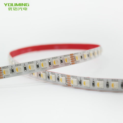 批发Ra95高显指灯带晶元芯片5050rgbw四合一灯条低压24VRGBW灯条