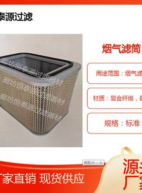 P031658-016-340烟气油雾滤筒P031726筒式除尘器长方形气液滤芯