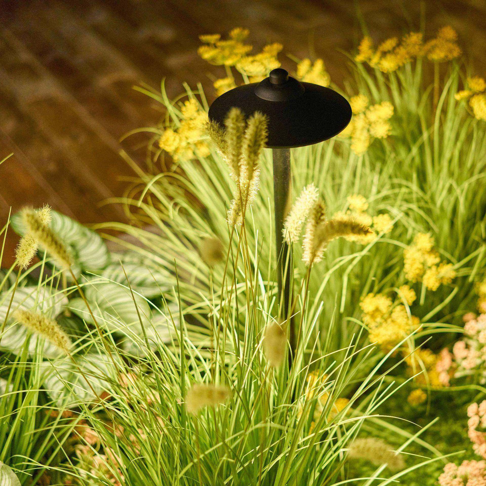 简约景观灯装饰LED可蘑菇庭院草坪风创意选伞形式底座高度无,纺织面料/辅料/配套,纺织机械配件,淘宝优惠券,粉丝福利购,淘宝优惠卷