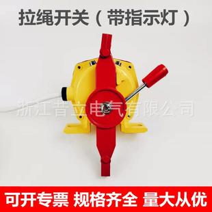 KTE 电子光显式 D手动复位拉线DLX BE带指示灯 双向拉绳开关DLK