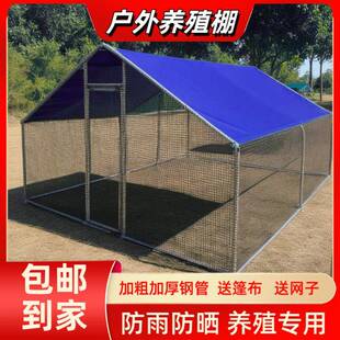 户禽外养殖棚养鸡棚AUR防雨棚窝棚室外家鸡笼子鸭鸽专鸡用养殖棚