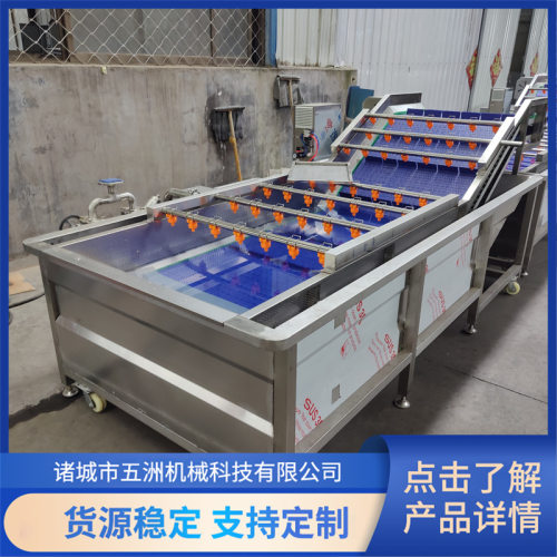 全自动连续式果蔬气泡清洗机
