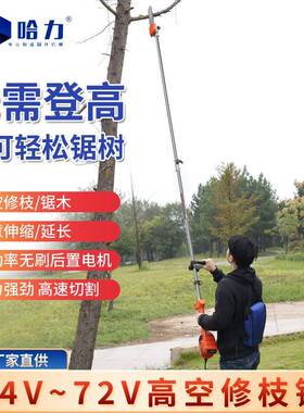 电动大高枝锯无电刷锂电高空锯率OUS充式高空园林功绿化修枝锯