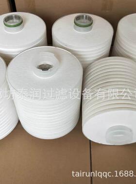 油滤芯移式低压过滤器精密滤芯BG5EFO动/5碟片1式滤2芯滤油机滤芯