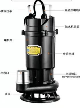 切式污水CPN抽粪机泥潜浆排污泵2泵20V家用小型化粪割池高扬程水