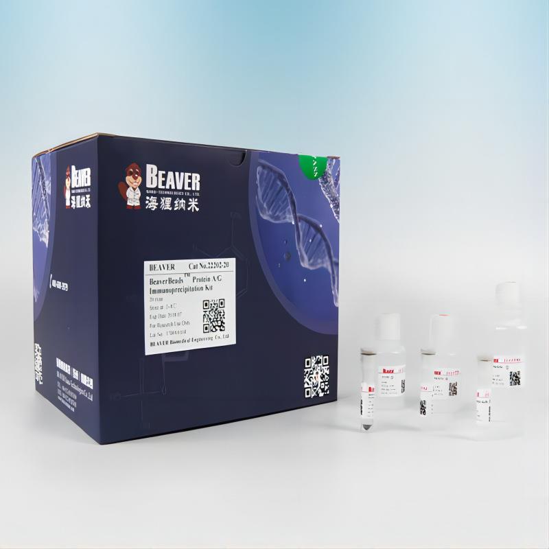 70809-100 Beaver海狸DEAE磁珠 蛋白纯化磁珠 2*50ml