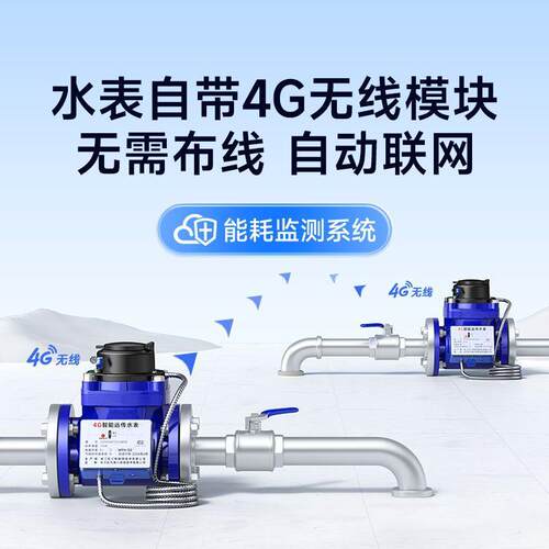 工业大口径智能水表 4G/NB无线远传水表 法兰水表DN50/100赠系X20