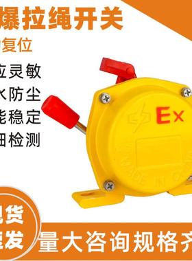 双出线孔防爆双向拉绳开关BKL1-II EXKLT2-IIBXYLS-II 输送带急停
