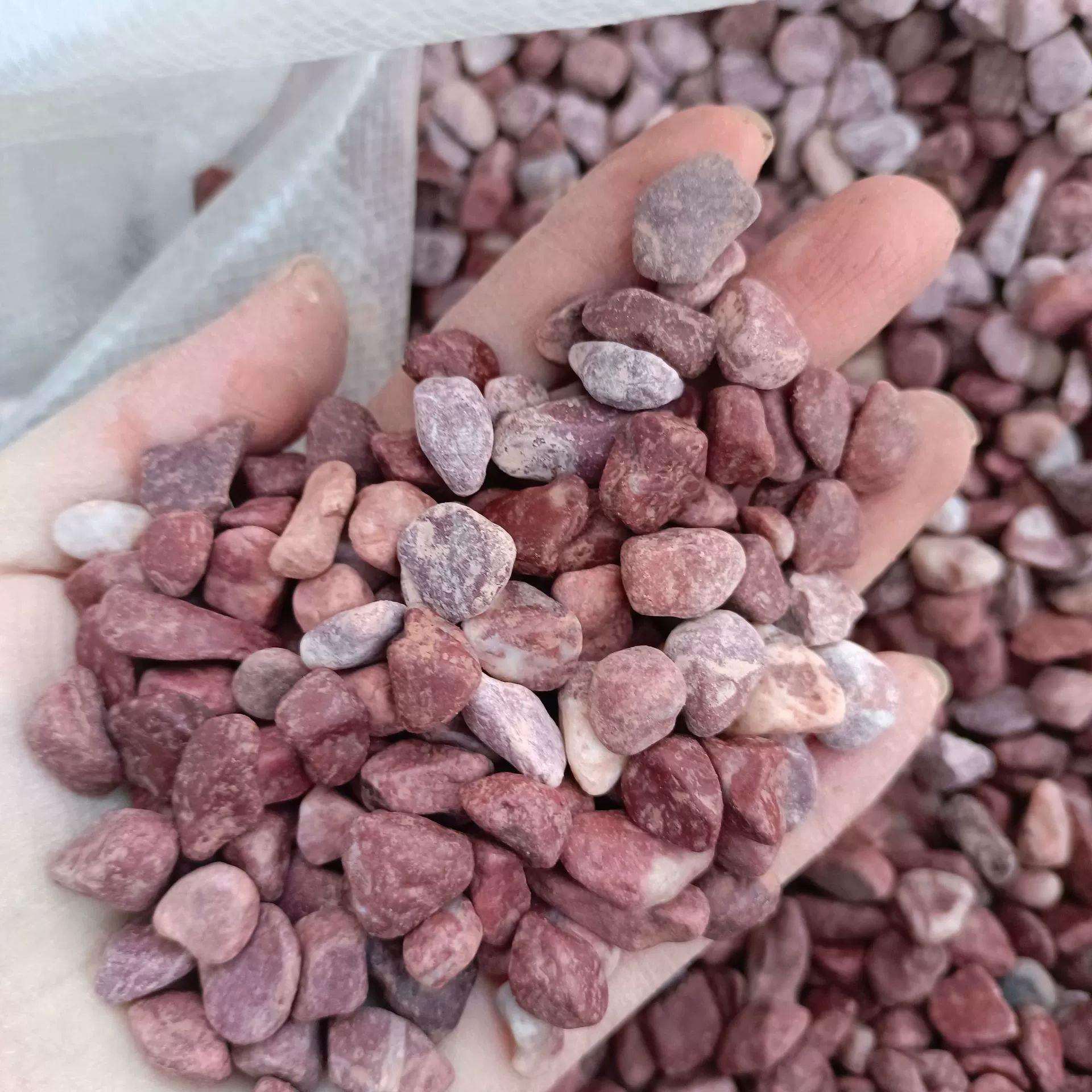 石子胭脂红水洗石水磨石子地坪装饰园艺铺面鱼缸造景装饰红石子