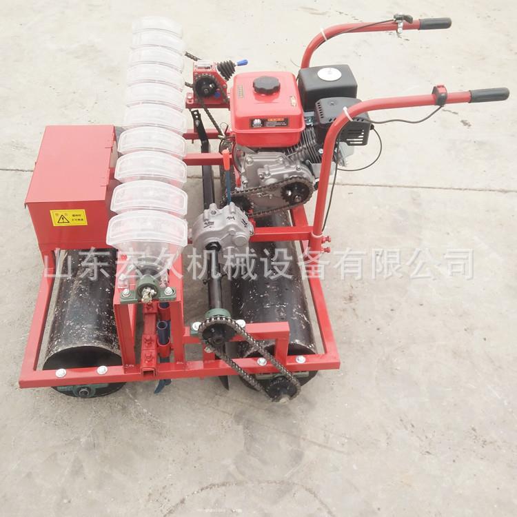 精播机 自走式九行精播机 自行九行播种器 种植设备