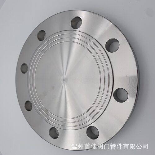 现货3042205法兰盲板不锈钢RF面锻打法兰盖堵头盖板