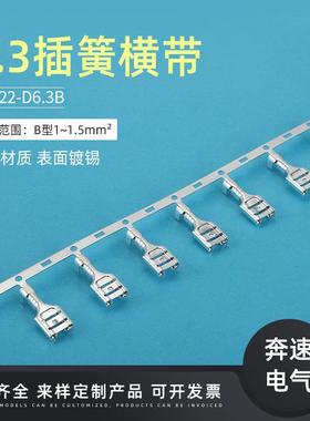 .3插簧横带250母端子横带DJ62-D.3A2D6J622-D66YIS.3B接线