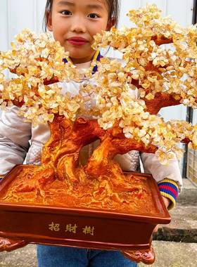 绿晶摇钱树摆大招财宝树树水居DER创意件酒柜家装饰品客厅电视家