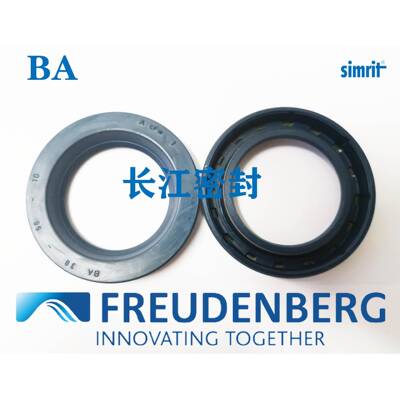 SIMMRRINGBA86110-1CFW145-175-315德国进口单唇DZCE口DIN3-760A