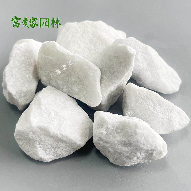 白色鹅卵石机制白卵石珠海园盆栽装饰白石造698子艺庭院景白色砾