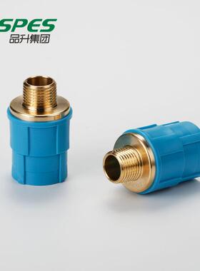 品升管业蓝色经典PPR列水管系配件内2/外丝直NGH接20*1/25*1/2