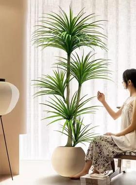 高端轻植物客仿DD102077厅生植内大型龙血树室仿真绿盆栽摆件装饰