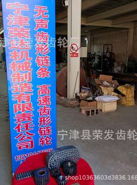 CL10.1节距5875毫米内导31片无声齿LBD形链条及配套链轮变速