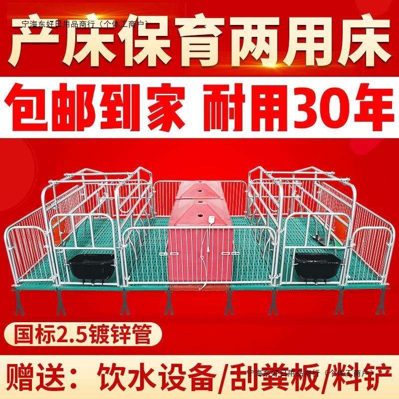 保育加厚限位两用床复合单养殖设备全产保双体栏床定母猪产床包邮