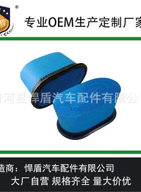 热销蜂窝空气滤芯Cp25001P636991A3030Ml242294Me422880