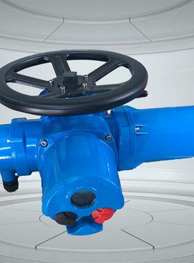 伯纳德津上DZW500-24W/Z/TZ500-24W/Z/T智能遥控电动装置