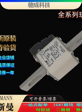 巴斯曼170M3760 170M3761 170M3762 销售供应零售 快速保险丝