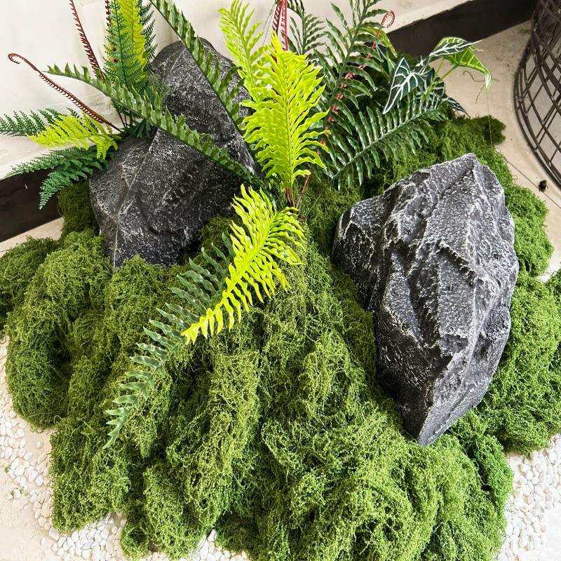 仿真植物套装苔藓草坪石头线蕨叶龟贝叶景观装饰品商场橱窗幼儿园