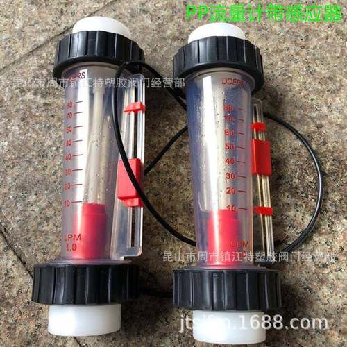 PPRPP流量计DOERSPPH流量计D0ERS流量计感应带报警开关10-80LPM
