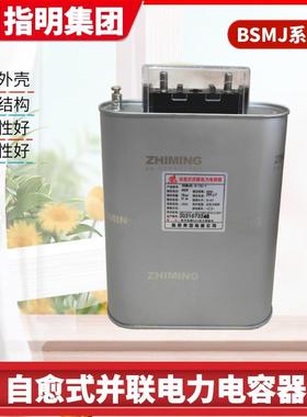 指明BSMJ0.415-10-1单相矿热炉系列自愈式低电压并联电力电容器