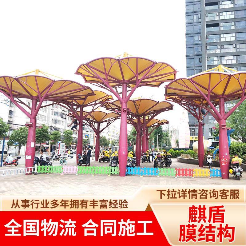 设计制作安装公园景观棚膜结构遮阳棚膜结构学校看台棚收费站棚蓬