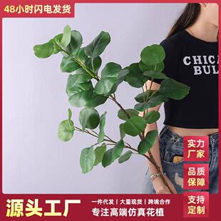 120cm大枝尤加利新款仿真绿植桉树枝金钱叶插花摆件装饰假花