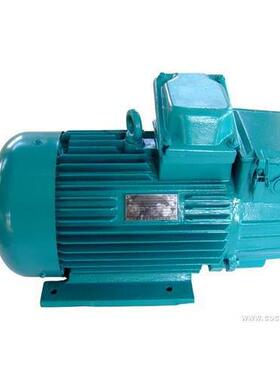 YZR单轴起重机电机YZR-160L-611KW