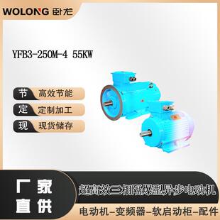 YFB3-250M-455KW煤安防爆电机立式防爆振动电机卧龙南阳防爆