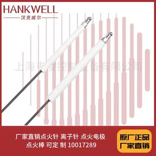 直销点火针离子针点火电极点火棒可定制10017289