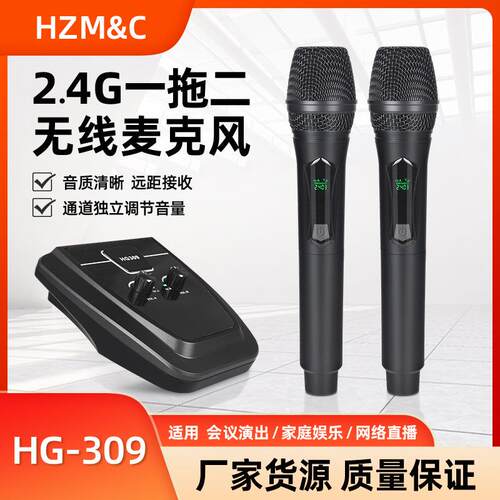 2.4G无线一拖二话筒家用接收器舞台ktv专业舞台k歌会议防啸叫麦克