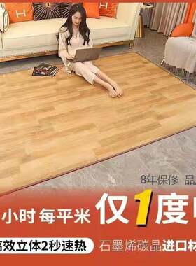 家用碳晶地暖垫移动电热地毯发热地板客厅暖脚瑜伽加热地热垒德株