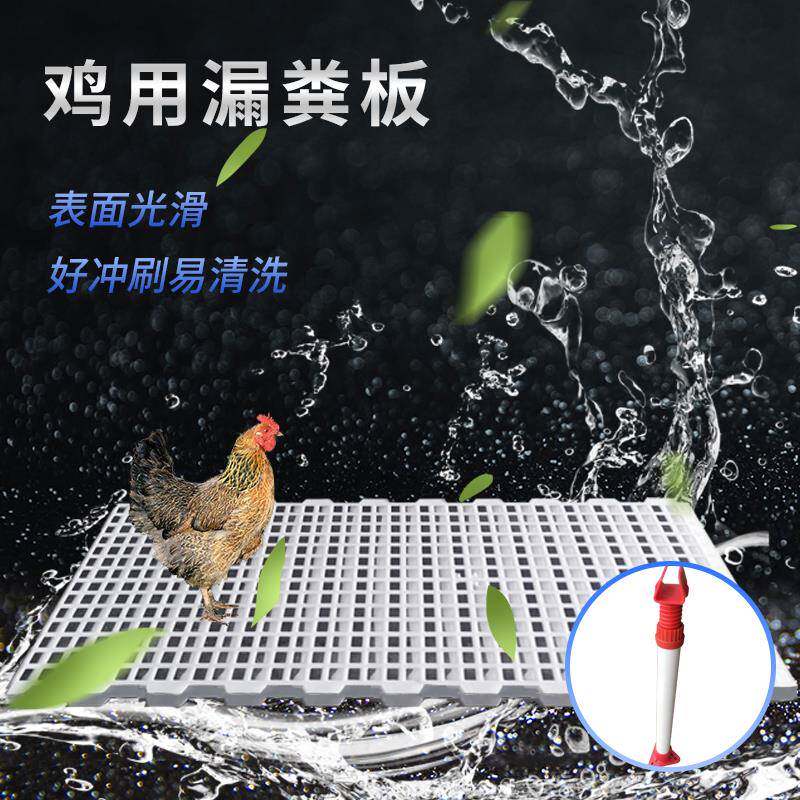 漏粪板鸡用鸡笼鸡粪鸽舍塑料漏粪板养小鸡鸭鹅漏粪网养殖专用设备图片