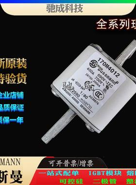 巴斯曼170M4012 170M4013 170M4014 加工制作零售 原装熔断器