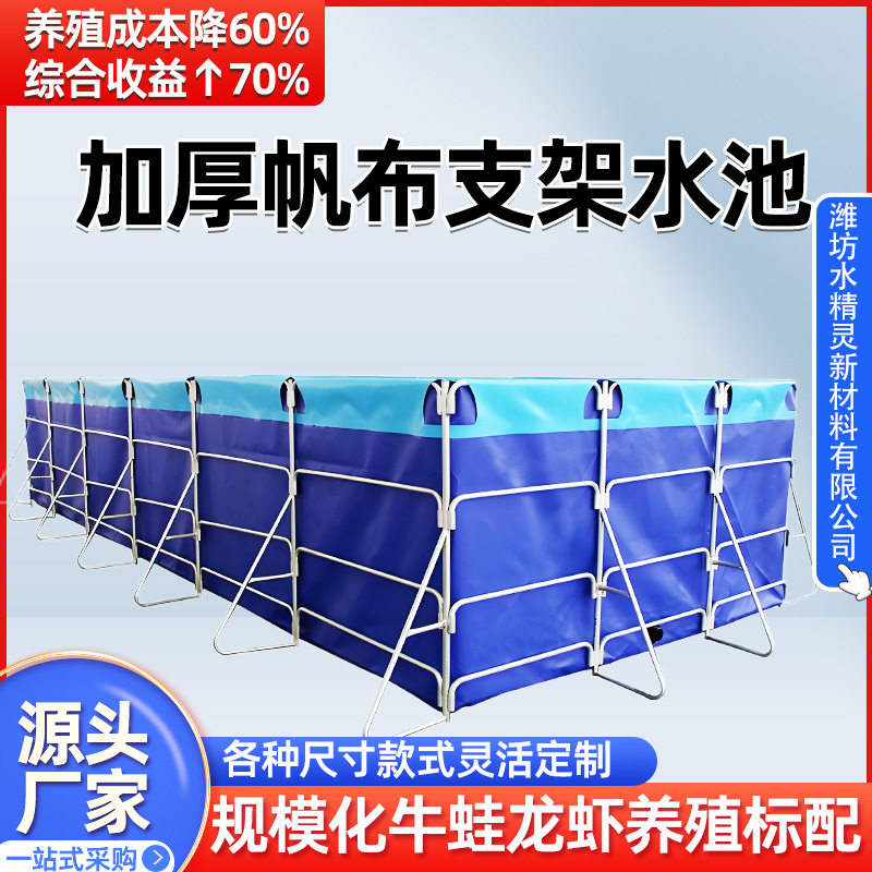 镀锌管支架养殖池龙虾牛蛙鱼苗养殖池可移动大容量PVC帆布养鱼池
