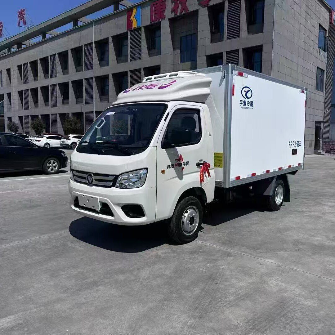 小型冷藏车祥菱M1国六3.1米后双轮箱式冷冻保鲜车冷藏物流车