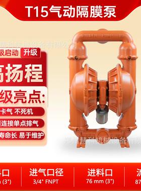 WILDEN威尔顿隔膜泵T15/AAAAB/NES/NE/NE/0014污泥泵陶瓷泵