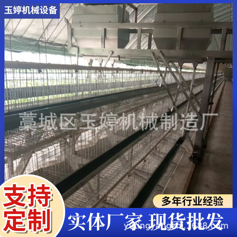 蛋鸡笼生产厂家阶梯式蛋鸡笼鸡舍家用自动滚蛋养殖笼养鸡设备