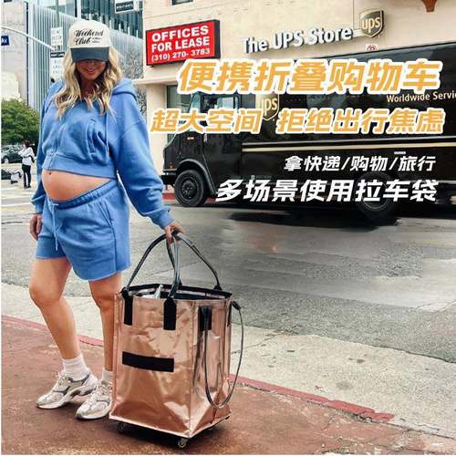 浩肯包加厚购物车买菜车折叠行李袋拉杆车两用大容量收纳袋子