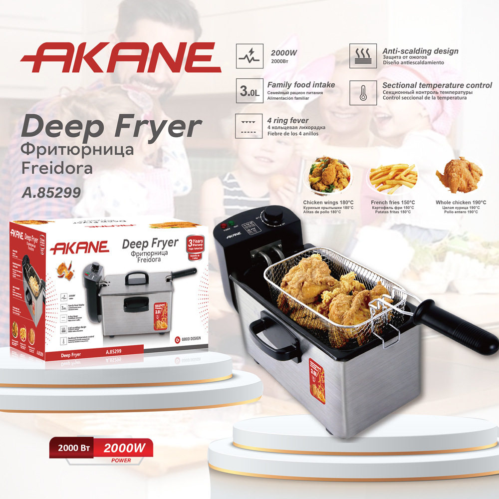 AKANE跨境欧规恒温油炸锅家用电炸锅电炸炉油条薯条机摆摊炸串锅