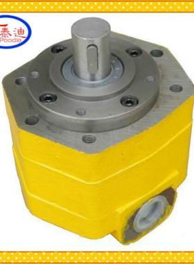 BB-BD40BB-BD125摆线齿轮泵内啮合润滑泵