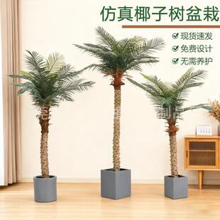 大型椰子树仿真植物仿真棕榈树热带绿植室内家居落地装饰落地盆栽